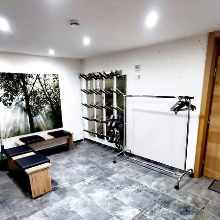 Haus Dirol Apartment Kirchberg in Tirol
