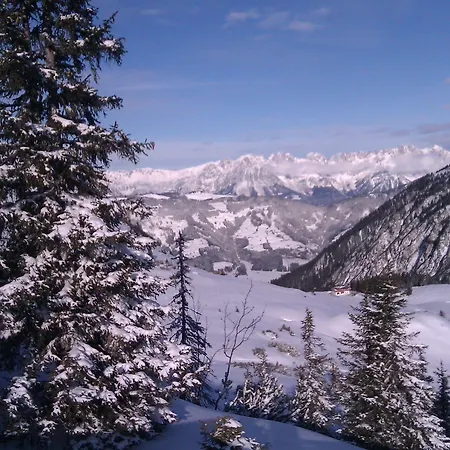 Haus Dirol 아파트 *