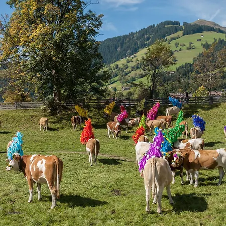 아파트 Haus Dirol *