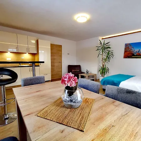 Haus Dirol * 蒂罗尔-基希贝格