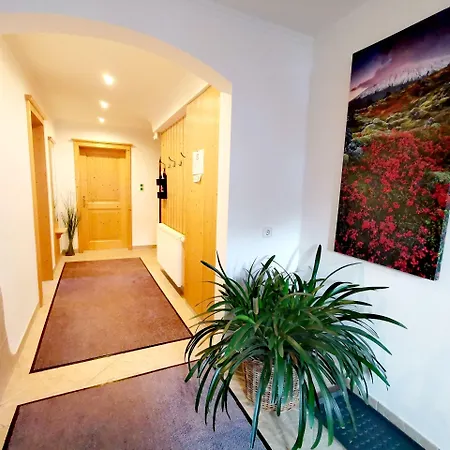 Haus Dirol 아파트 *